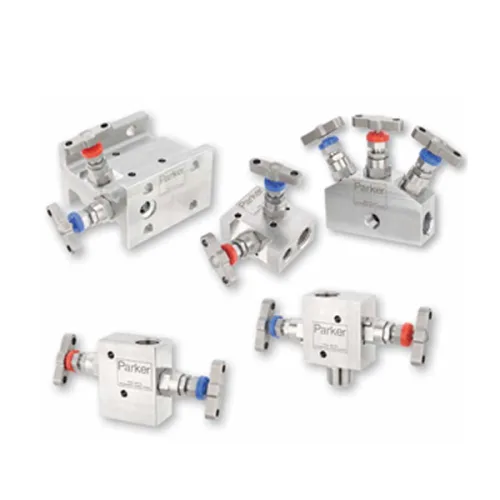 Transmitter and Gauge Manifolds